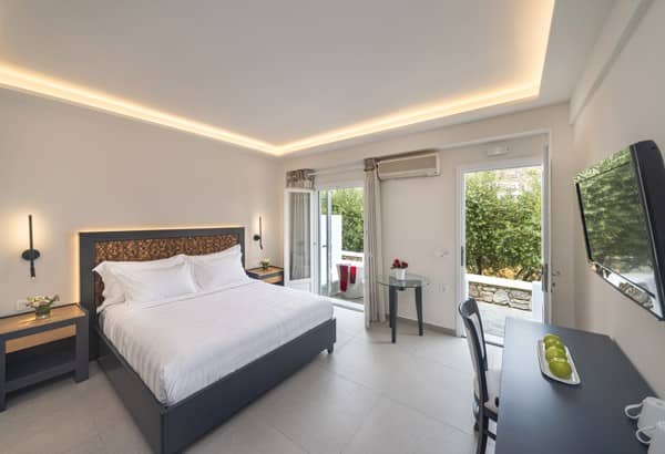 Standard Double Δωμάτιο (Παράρτημα κεντρικού κτιρίου)